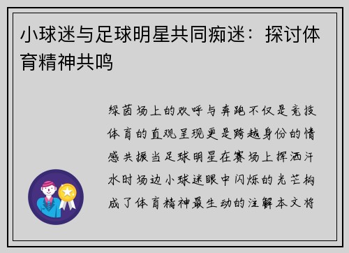 小球迷与足球明星共同痴迷：探讨体育精神共鸣